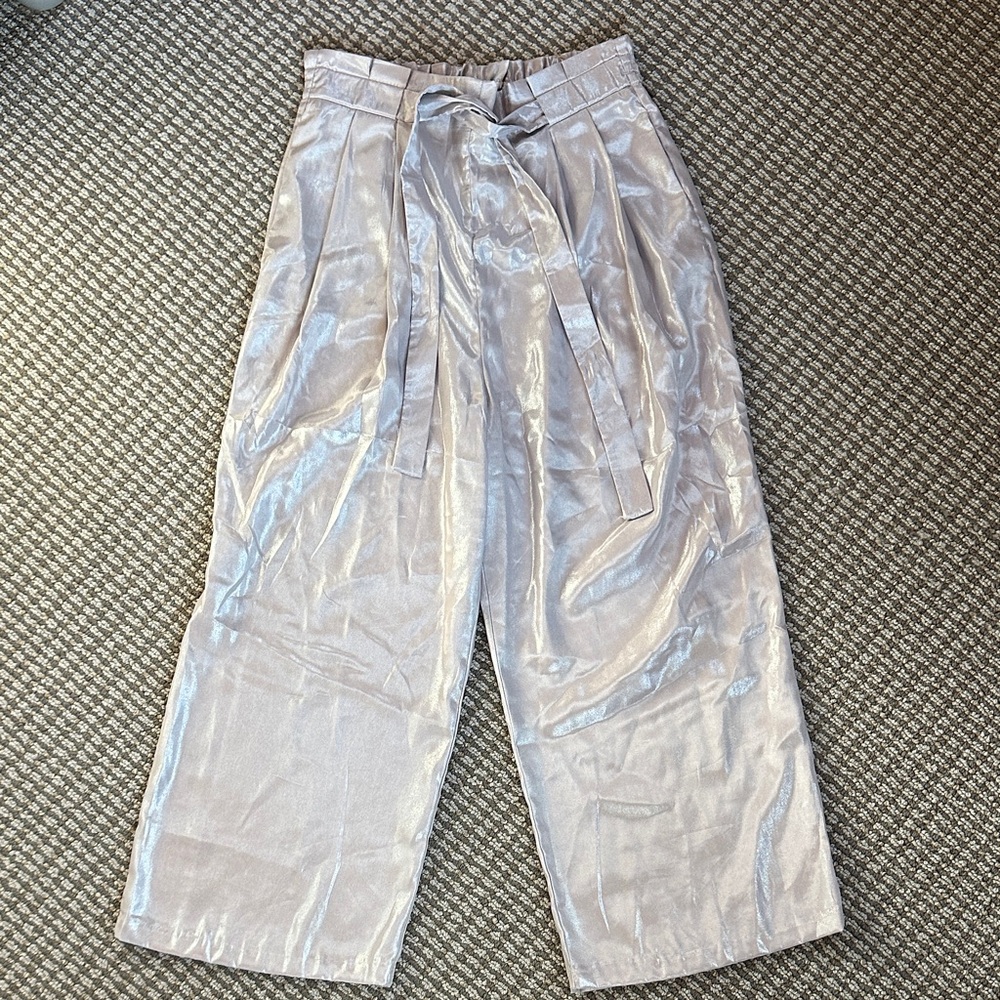 Zara Silver Wide Leg Pants